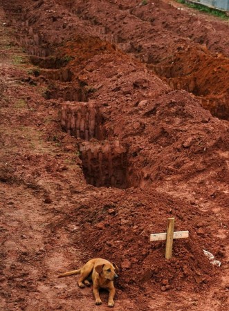 Heyelanda ölenler için kazılan mezarlar, birisi dolu ve köpeği
