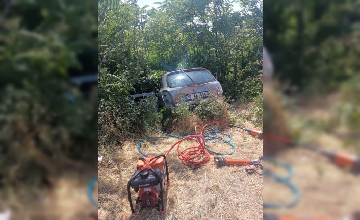Şarampoldeki ağaçlara çarpan otomobildeki sürücü öldü