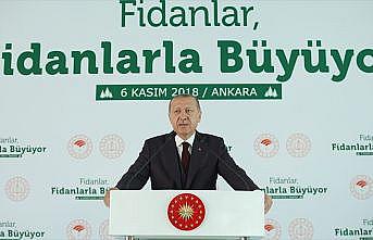 Cumhurbaşkanı Erdoğan: Tabiata bakış açımızı düzeltmezsek dünya yaşanılır olmaz