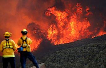 California'daki orman yangını 2018'in en maliyetli doğal afeti oldu