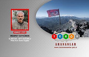 Kırmızı listedeki PKK'lı Soysüren etkisiz hale getirildi