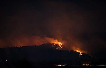 Bakan Pakdemirli'den Gelibolu Yarımadası'ndaki orman yangınıyla ilgili açıklama: