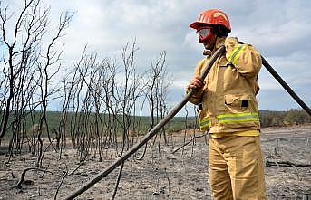 Çanakkale'deki orman yangınına tarım arazisinde yakılan ateşin neden olduğu iddiası araştırılıyor