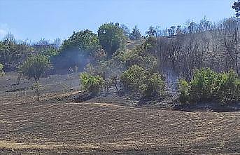 Balıkesir'de çıkan orman yangınında yaklaşık 2 hektar alan zarar gördü