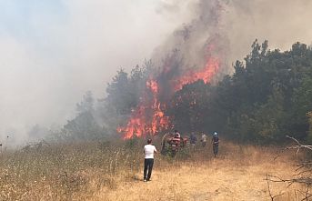 Bursa'da yerleşim bölgesi yakınında orman yangını