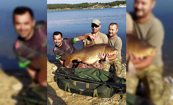Bilecik'te amatör balıkçı yakaladığı dev sazanı gölete bıraktı