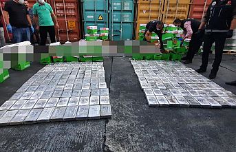 Mersin Uluslararası Limanı'nda 220 kilogram kokain ele geçirildi