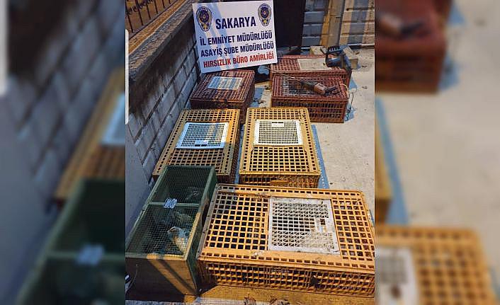 Sakarya'da kümes hayvanlarının bulunduğu kamyoneti çalan zanlılar İstanbul'da yakalandı