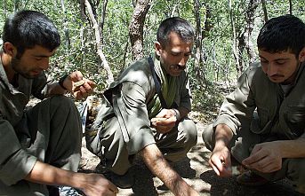 Saldırı yapmak üzere eğitilen PKK'lı 4 terörist yakalandı