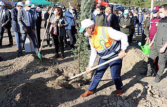Batı Karadeniz ve Doğu Marmara'da “Milli Ağaçlandırma Günü“ etkinlikleri düzenlendi