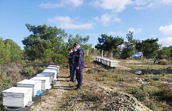 Balıkesir'de “dur“ ihtarına uymayan kamyonetten çalıntı arı kovanları çıktı