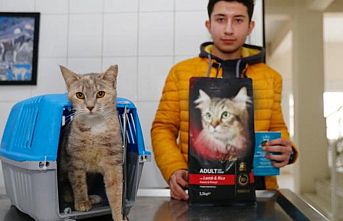 Edirne'de sokak kedileri “konak“ sahibi oldu