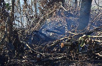 Sakarya'da çıkan yangında 4 dönüm fındıklık ve ormanlık alan zarar gördü