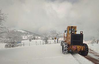 Bursa ve çevre illerde kar yağışı etkili oluyor