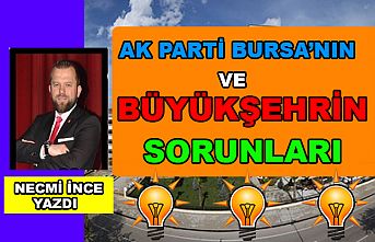 Necmi İnce Yazdı: Ak Parti Bursa'nın ve Büyükşehrin Sorunları