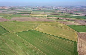 Edirne'de yüksek kesimlerde etkili olan zirai don erken ekim yapılan buğday ve arpada zarara neden oldu