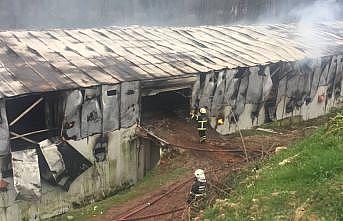 Kocaeli'de tavuk çiftliğindeki yangın hasara neden oldu