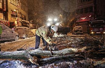 İstanbul'da kar yağışı nedeniyle bazı bölgelerde ağaçlar devrildi