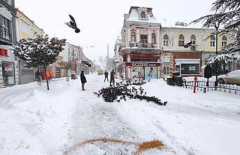 Soğuk havanın etkili olduğu Edirne'de sokak hayvanları unutulmadı