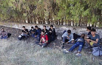 Yakalanan sığınmacılar, Bulgaristan'ın kendilerini Türkiye'ye geri ittiğini iddia etti