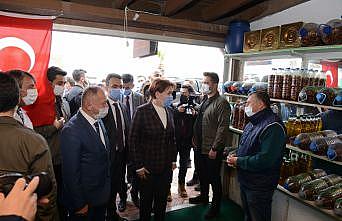 İYİ Parti Genel Başkanı Meral Akşener, Şehitler Abidesi'nde dua etti