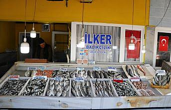 Tekirdağ'da deniz salyası nedeniyle avcılığın azalması hamsi ve istavritin fiyatını artırdı