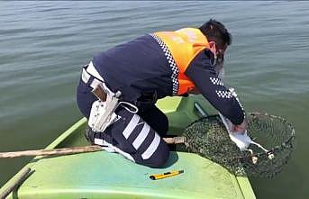 Uluabat Gölü'ne atılan ağa takılan martıyı jandarma kurtardı
