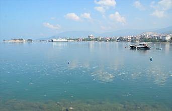 Balıkesir'in Güney Marmara sahilini kaplayan deniz salyası rüzgarın etkisiyle dağılmaya başladı