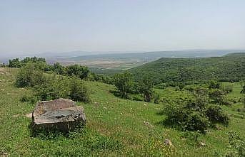 Edirne'de Meriç Nehri'nin merkezde kalan kısmı ile Çandır köyü “doğal sit alanı“ ilan edildi