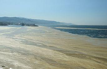 Marmara Denizi'nin birçok noktasına yayılan “deniz salyası“ Mudanya sahilini de kapladı