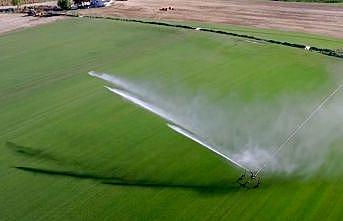 Trakya'da bu yıl 695 bin 720 dekar tarım arazisi suyla buluşacak