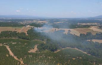 Çanakkale'nin Ezine ilçesindeki ormanlık alanda çıkan yangına müdahale ediliyor