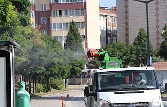 Edirne'deki popülasyonu artan dantel böceğiyle mücadele