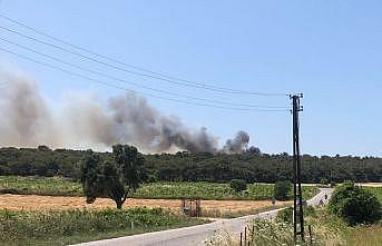 GÜNCELLEME - Bozcaada'da ormanlık alanda çıkan yangın kontrol altına alındı