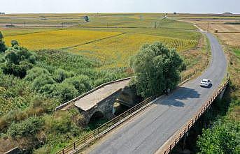 Tekirdağ'da günümüze 3 kemeri ulaşan tarihi Karapürçek Köprüsü ilgi görüyor