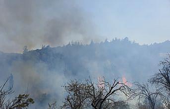 Balıkesir'in Dursunbey ilçesinde çıkan orman yangını kontrol altına alındı