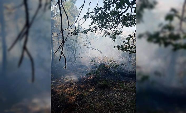 Bursa'da ormanlık alanda çıkan yangın söndürüldü