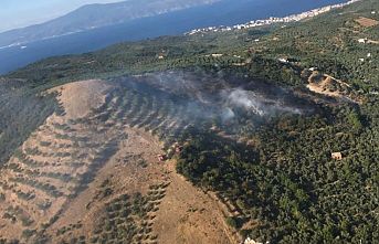 Mudanya'da çıkan orman yangınına havadan ve karadan müdahale ediliyor
