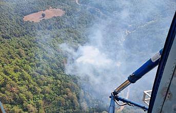Balıkesir'de çıkan orman yangınına havadan ve karadan müdahale ediliyor