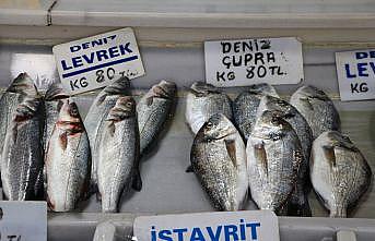 Denizlerdeki balık bolluğu Tekirdağ'da tezgahlarda çeşitliliği arttırdı