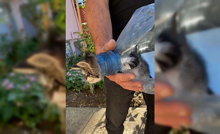 Kırklareli'nde başı pet şişeye sıkışan yavru kediyi itfaiye kurtardı