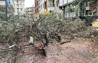 İstanbul'da tam fırtına etkili oluyor