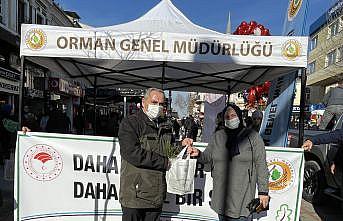 Edirne'de Yeni yıla fidan dikerek gir kampanyasında dağıtılan 3 bin fidan kısa sürede bitti