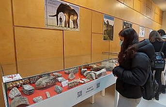 Tekirdağ'da 28 bin yıllık mamut kalıntıları sergileniyor