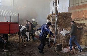 Edirne'de samanlıkta çıkan yangın nedeniyle ahırdaki hayvanlar tahliye edildi