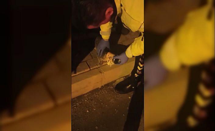 Kafası konserve kutusuna sıkışan kediyi polis kurtardı