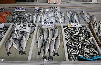 Tekirdağ'da balıkçıların denize açılamaması balık fiyatlarını etkiledi