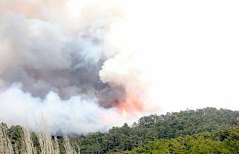 Bursa'da ormanlık alanda çıkan iki yangına müdahale sürüyor