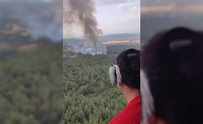Balıkesir'de iki ilçede çıkan orman yangınları kontrol altına alındı