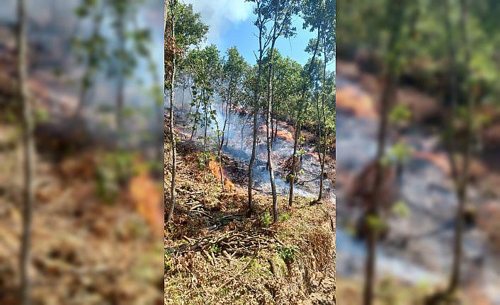 Çanakkale'de çıkan orman yangınına müdahale ediliyor